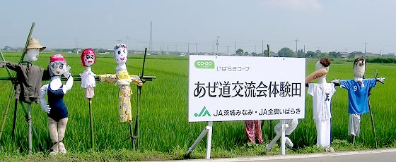 いばらきコープの取り組みの様子