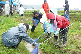 生きもの調査の様子