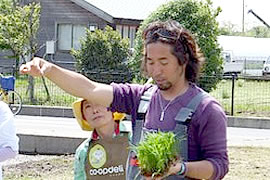 田植えの様子