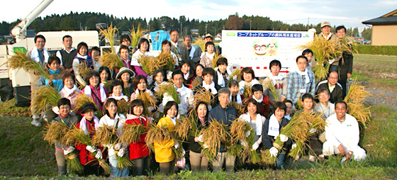 岩手県花巻で行われた飼料用米の稲刈りの写真