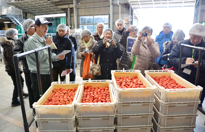 いちごのパッケージセンターでは、入荷から商品化されるまでの一連の流れを見学しました