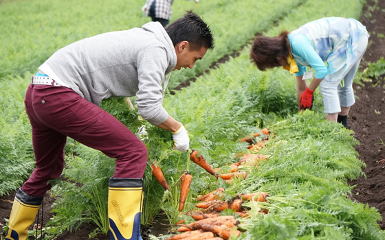 2014年5月26日～27日、茨城県内の産直産地を組合員・役職員が訪問しました