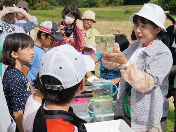 佐渡Kids生きもの調査隊の子どもたちと一緒に田んぼの生きもの調査を行いました。トキのえさとなるカエルや昆虫だけでなく、田んぼが多くの生きものを育んでいることがわかりました。