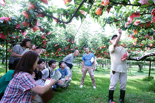 生産者の石田さんから、梨の栽培方法や、これからの福島の農業にかける思いを伺いました