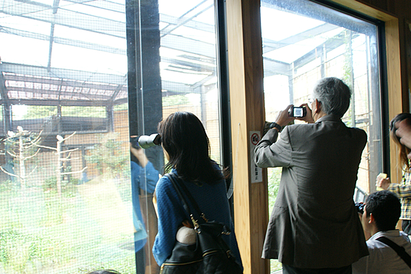 トキの森公園でトキを観察する参加者。初めて見るトキの姿に歓声が上がりました