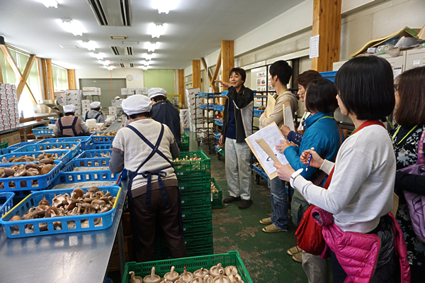 JAしおのやの喜連川（きつれがわ）菌床センターで、しいたけの生産やパック詰めを見学。しいたけの選び方やおいしい食べ方についても伺いました