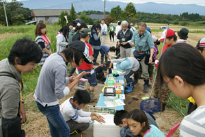 佐渡Kids生きもの調査隊の子どもたちによる生きもの調査