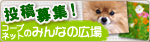 「コープネットのみんなの広場」投稿募集！