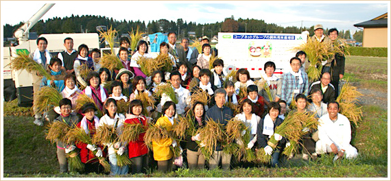 岩手県花巻で行われた飼料用米の稲刈りの写真