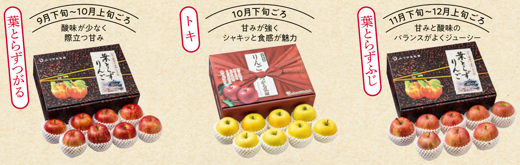 産地直送でお届け予定の3品種のリンゴの写真