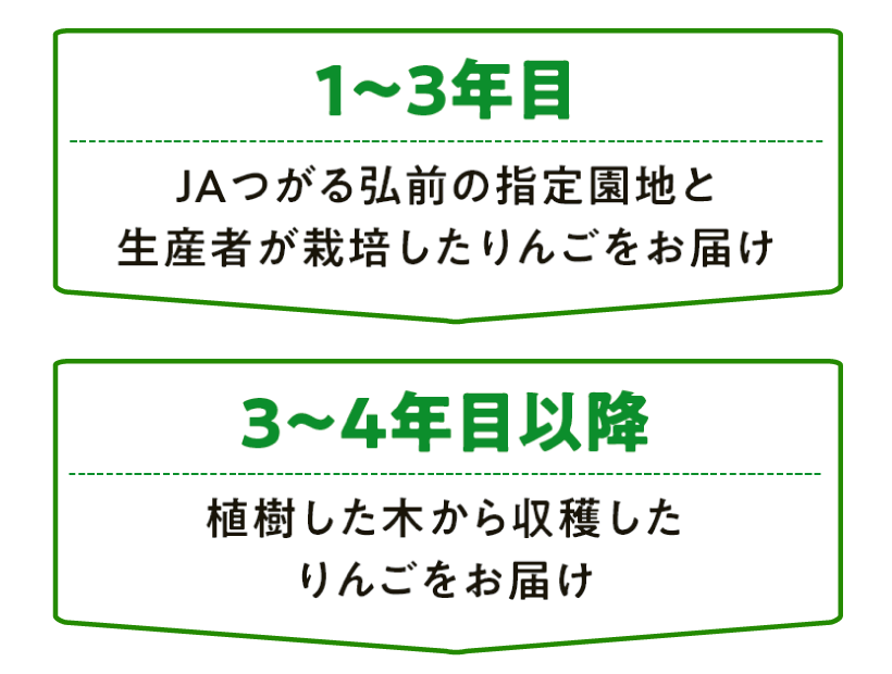 1~3年目と3~4年目以降のお届け予定