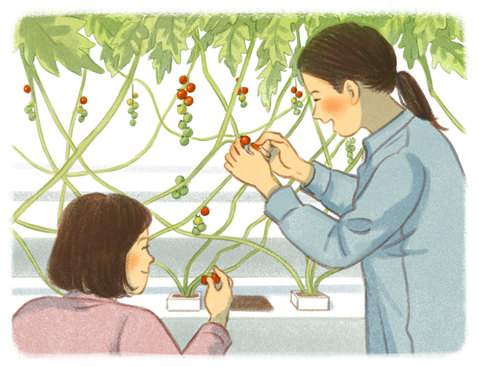 エピソード65のイラスト