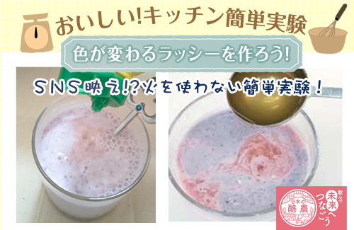 【コープデリ商品検査センター】おいしい！キッチン簡単実験：色が変わるラッシーを作ろう♪