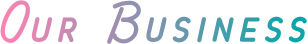 OUR BUSINESS