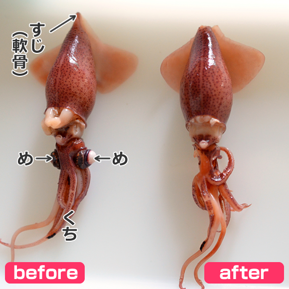 簡単！ホタルイカの下ごしらえ