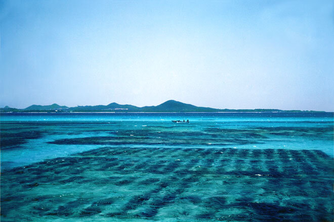 「美ら島応援もずくプロジェクト」寄付金贈呈式の様子