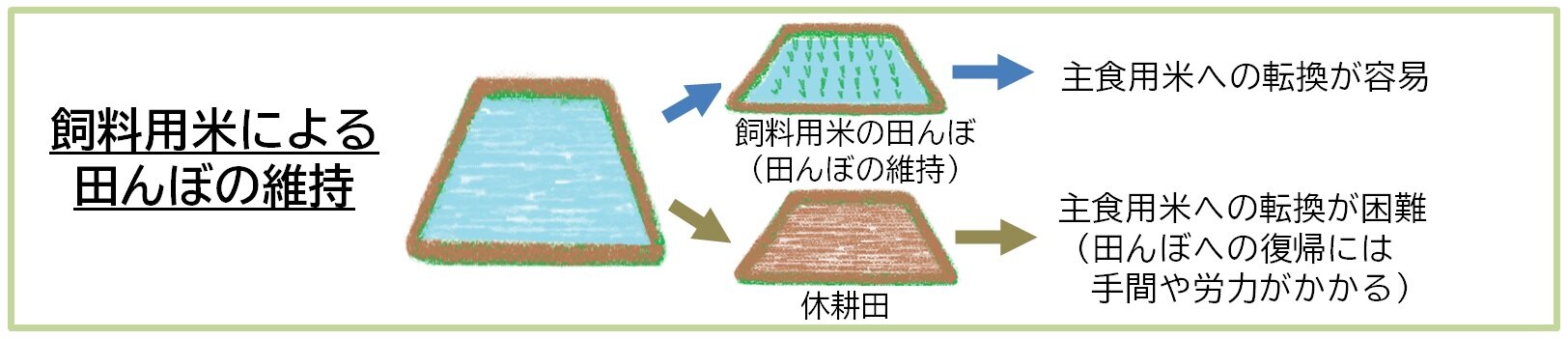 飼料用米による田んぼの維持