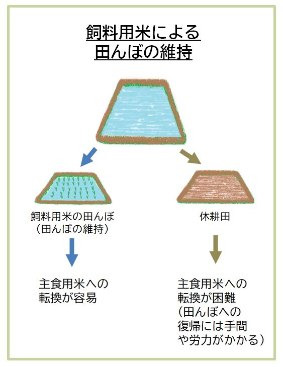 飼料用米による田んぼの維持