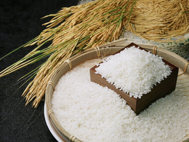 お米の画像