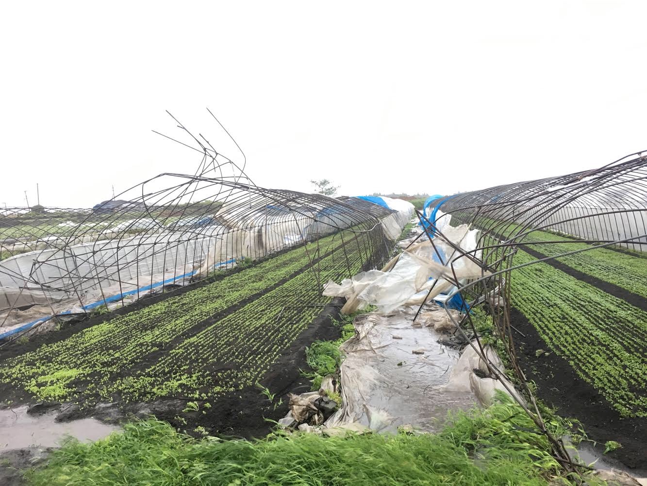 九州北部豪雨の様子