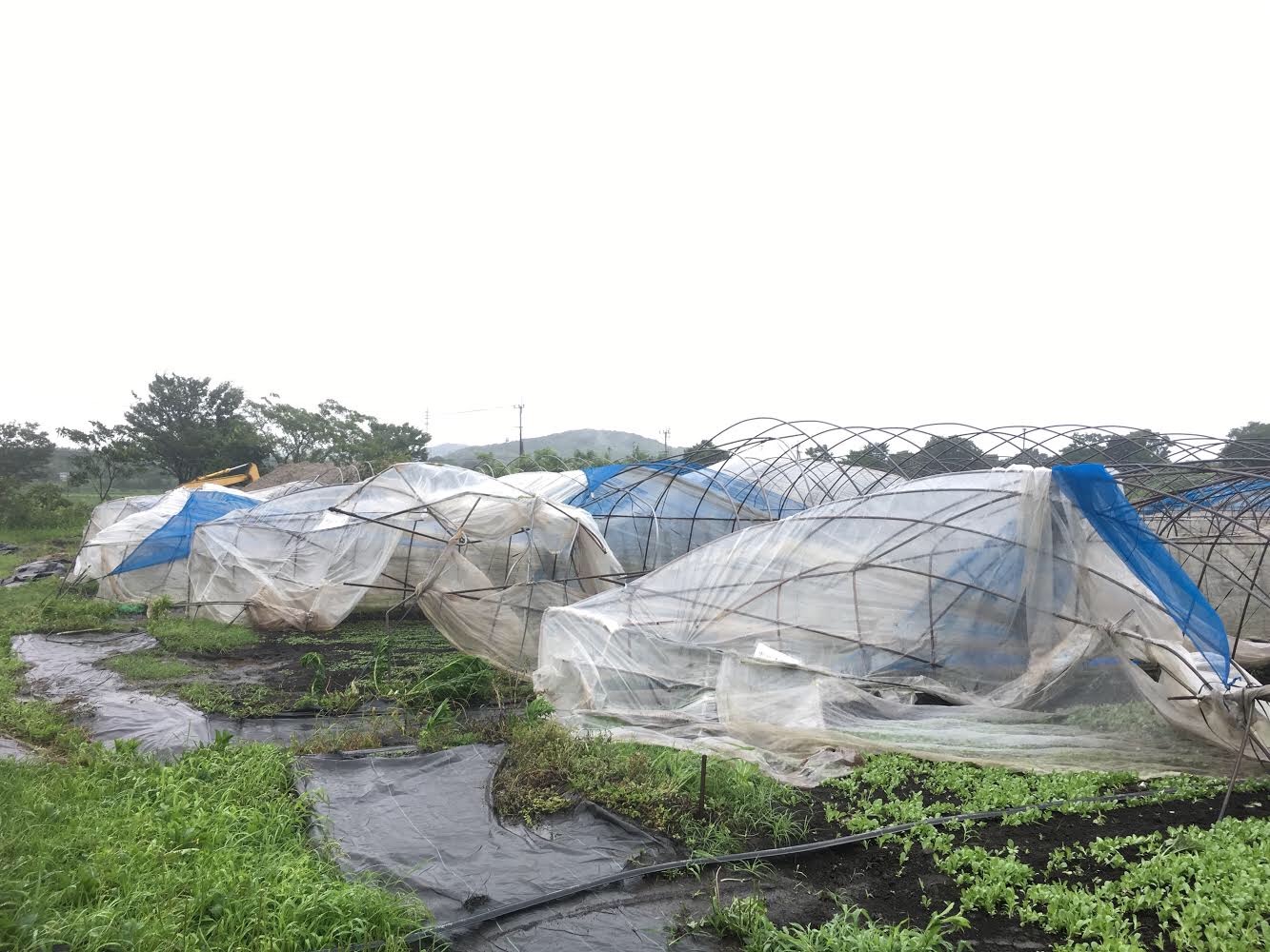 九州北部豪雨の様子