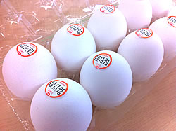 CO・OP産直たまごの豆シールの写真