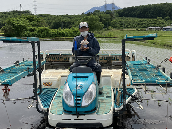 飼料用のお米を生産する伊藤与作さんの写真