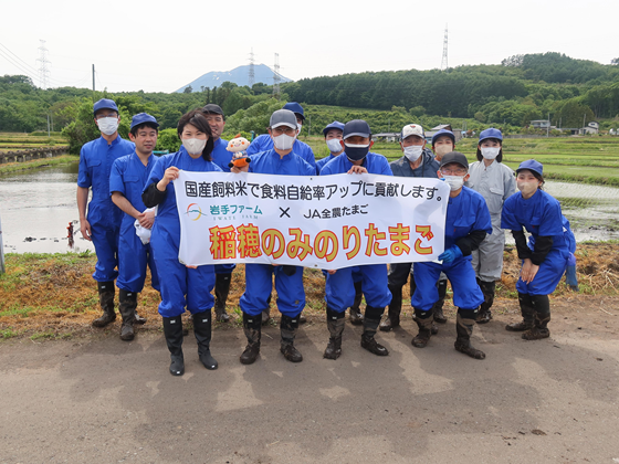 田植え体験に参加したコープデリ職員とJA全農たまごの皆さんの写真