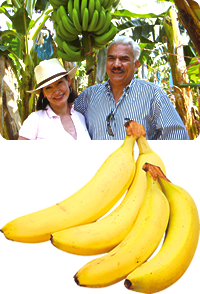 メキシコバナナとレオン夫妻の写真