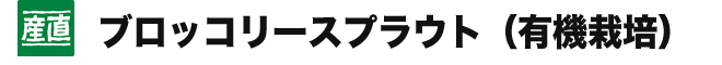 産直 ブロッコリースプラウト（有機栽培）