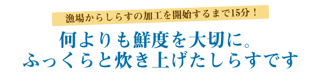 漁場からしらすの加工を開始するまで15分！何よりも鮮度を大切に。ふっくらと炊き上げたしらすです