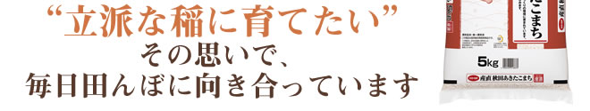 “立派な稲に育てたい”その思いで、毎日田んぼに向き合っています