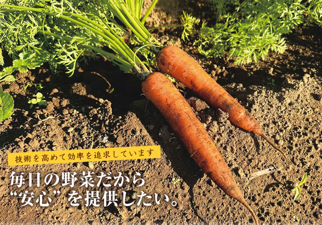 技術を高めて効率を追求しています 毎日の野菜だから“安心”を提供したい。