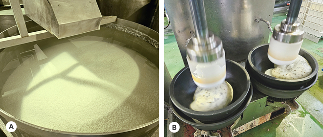 もち米からもちを作る様子