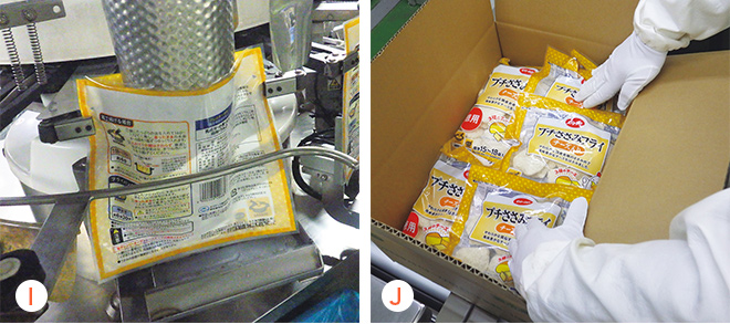 包装・箱詰め・出荷の様子