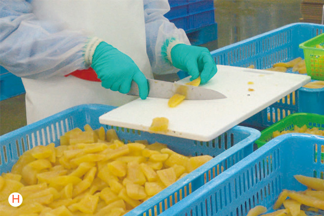 選別・カット・脱皮・脱塩の様子