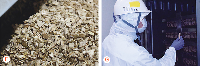 燻煙・加熱の様子