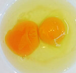 2021_08_02tamago01.jpg