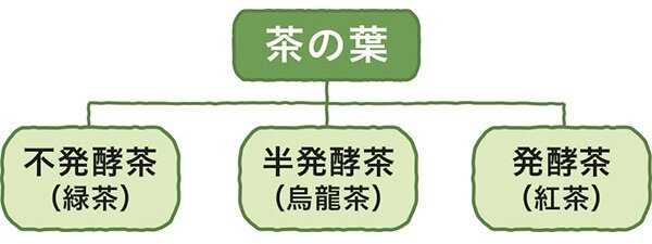 2024_08_shanoha.jpg