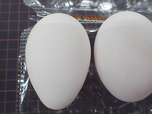 202604_egg.jpg