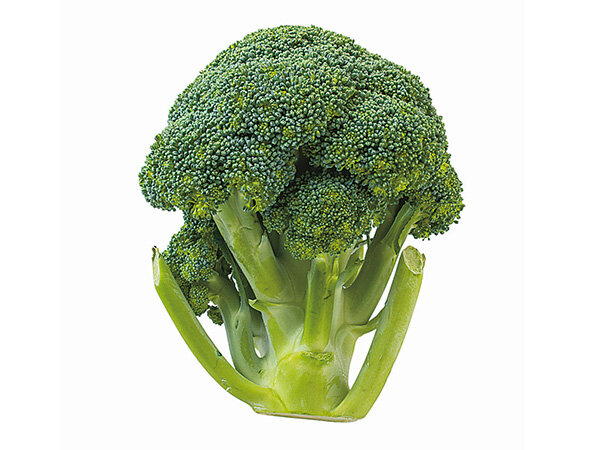 202604broccoli.jpg