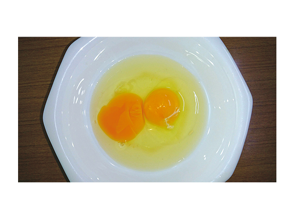202607egg.png