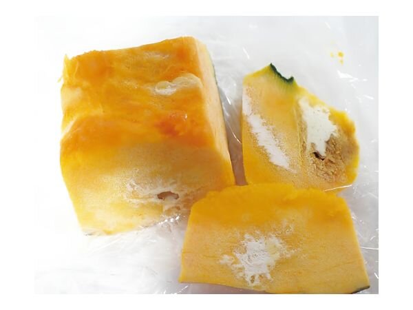 202610_kabocha.jpg