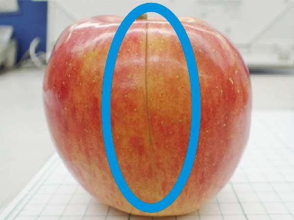 2026_01 apple.png