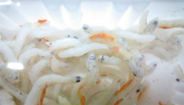 肉 魚別一覧 商品q A コープながの 肉 魚別一覧 商品q A コープながの