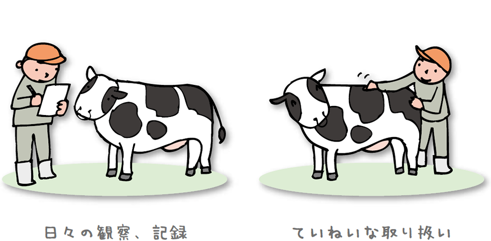 日々の観察、記録。ていねいな取り扱い。