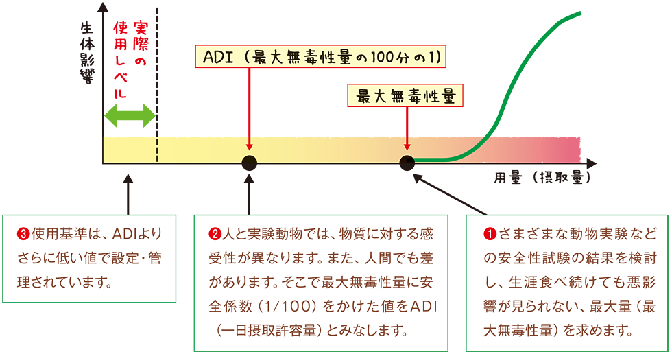 用量（摂取量）と生体影響の関係の図